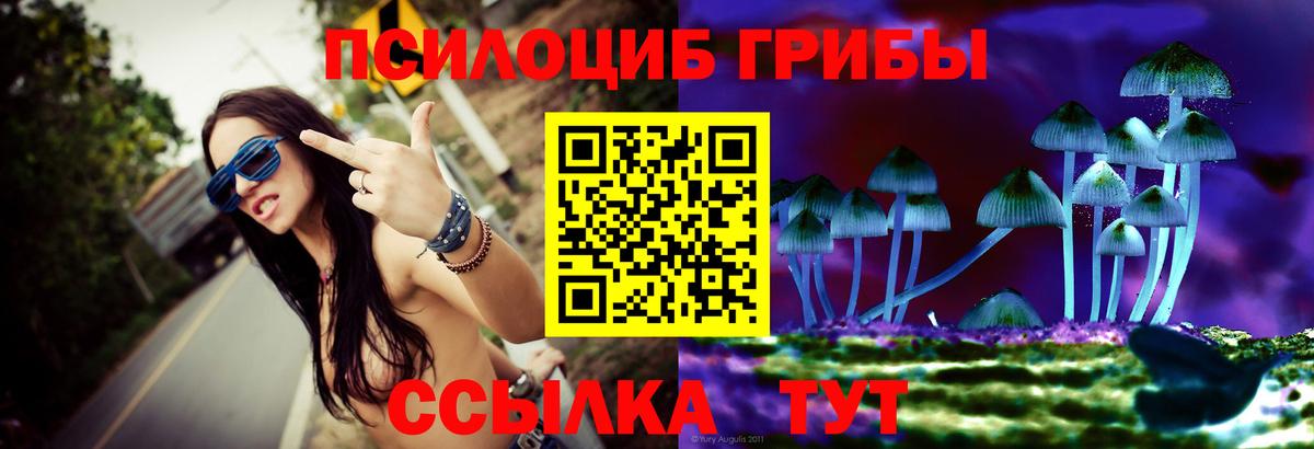 Сунжа  Псилоцибиновые грибы Psilocybine cubensis  Вход с VPN  Галлюциногенные грибы мицелий 